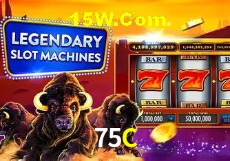 75C - Support